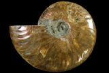 Cut & Polished Ammonite Fossil (Half) - Agate Replaced #146198-1